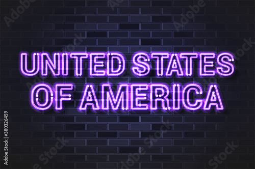 United States of America glowing violet neon letters on a black brick wall