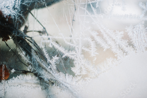Frost on the window