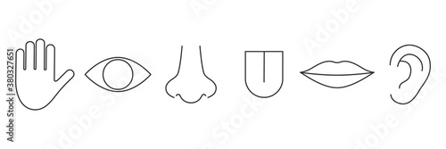 Human senses line icon set. Vector illustration people part of body. Hand, eye, nose, tongue, lips and ear.