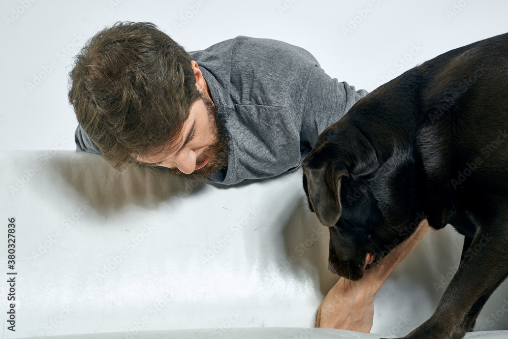 Close-up cropped view of a man with a dog on a light sofa indoors