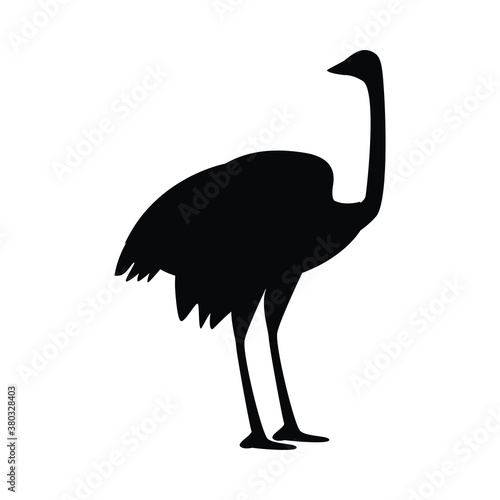 wild ostrich animal silhouette nature icon