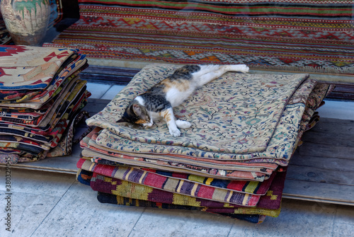 Photography Owner's cat waiting for customers in a carpet shop (Istanbul)