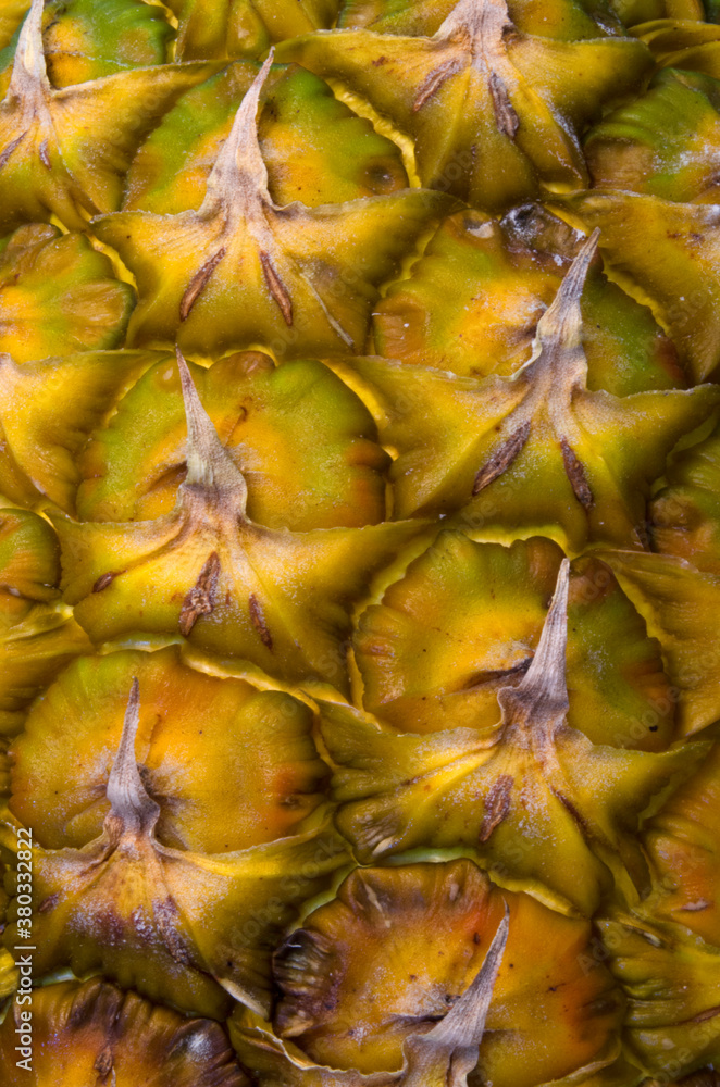 closeup macro of the exterior patterns, textures and colors of a pineapple closeup macro of the exterior patterns, textures and colors of a pineapple