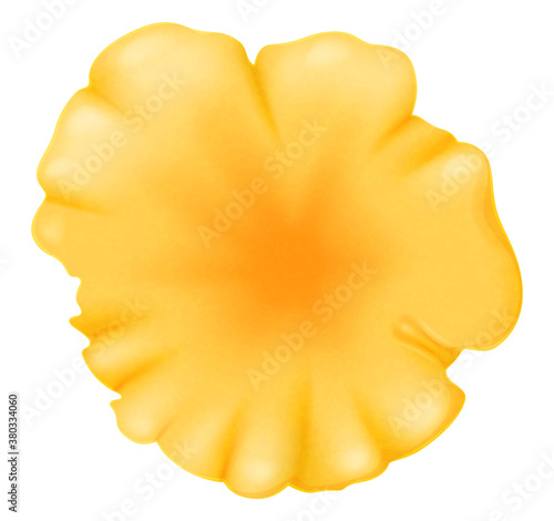Yellow chanterelle mushroom, top view. Vector illustration.	