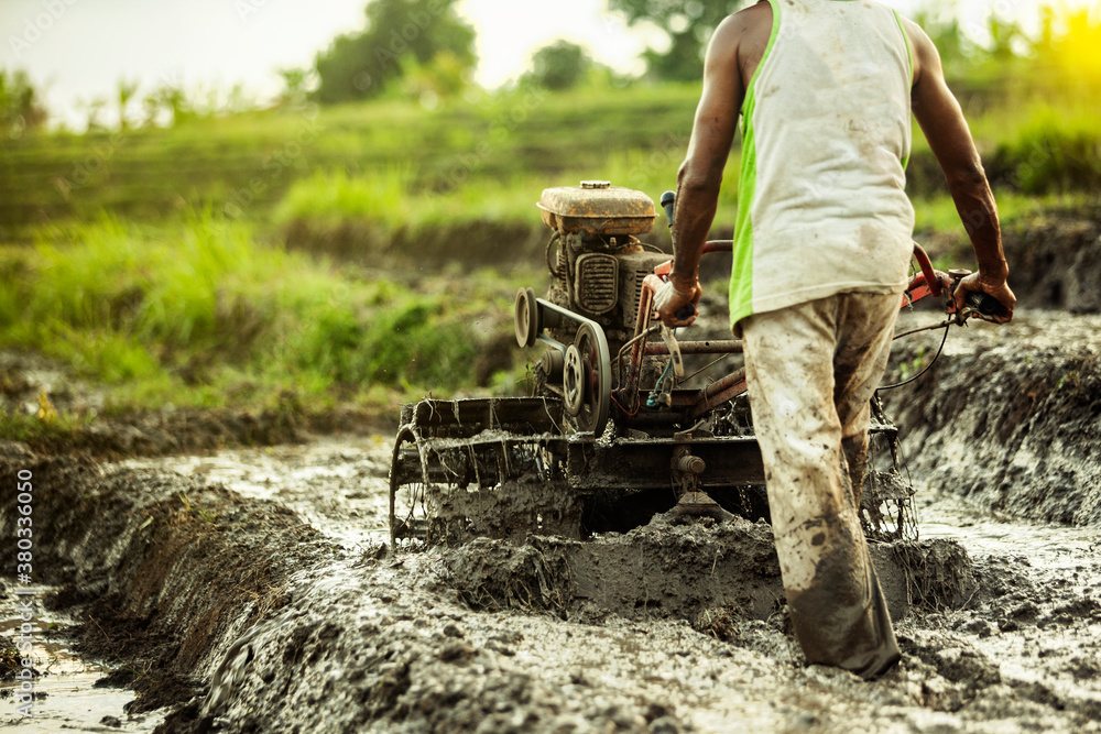Obraz premium Man prepares a rice field to be planted. Mechanical cultivation. Bali