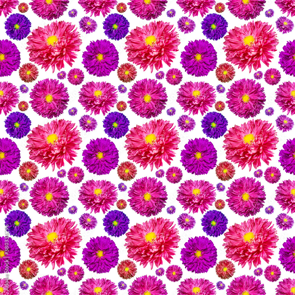 Seamless endless pattern with multicolored aster flowers. Floral background. For design and printing. Natural asters background. Concept for print and design