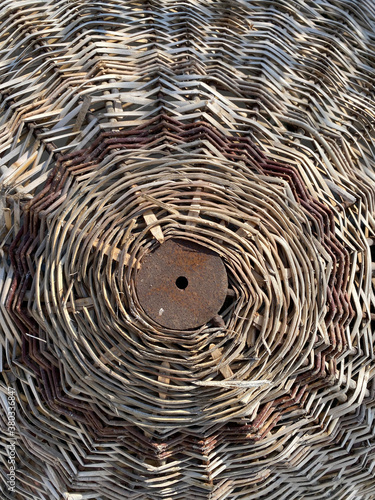 abstract nature texture may used as background