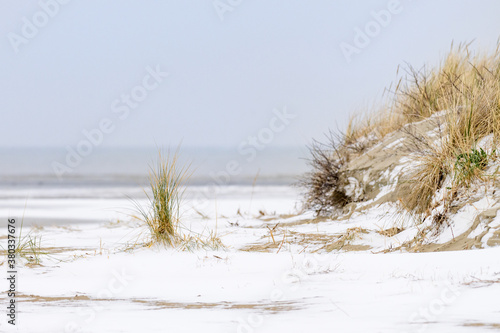 Winter landscape with snow on the beach in the Netherlands. Dunes with marram grass are visible through the snow. photo