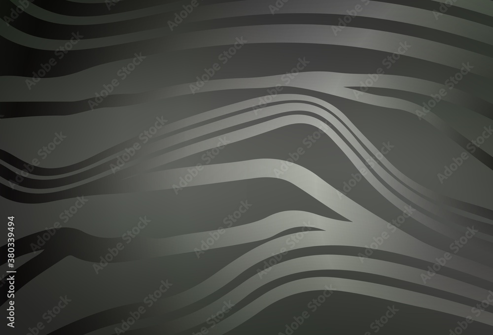 Light Gray vector background with curved lines. Light Gray vector background with curved lines.