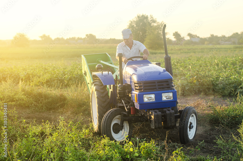Obraz premium A farmer on a tractor drives across the farm field. Potato harvest campaign. Farming, agriculture. Harvesting potatoes in autumn. Countryside farmland. The use of mechanical engineering in agriculture