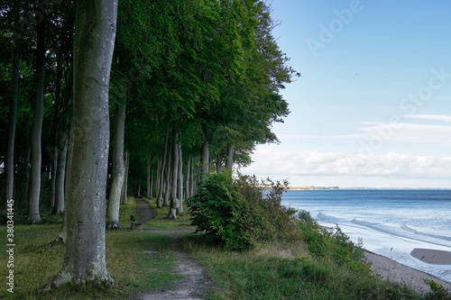 path through Faneskov forest at coast of Mon, Denmark, Baltic Sea © JaDeLissen