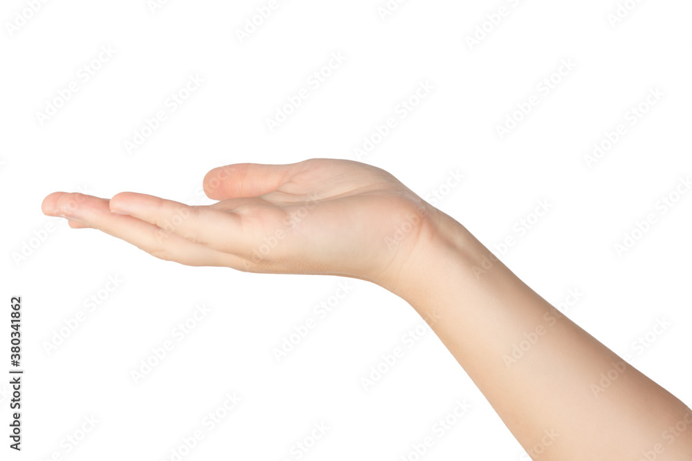 Beautiful female hand isolated on white background. Beautiful female hand isolated on white background.