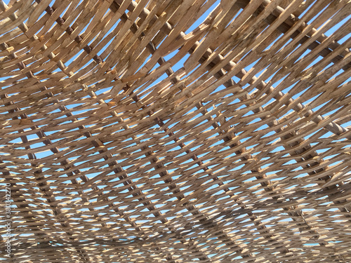 abstract nature texture may used as background