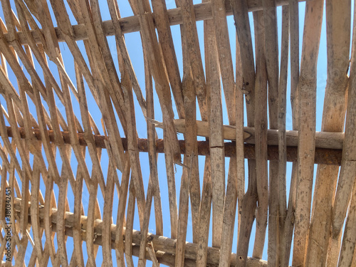 abstract nature texture may used as background