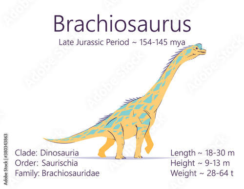 Brachiosaurus. Sauropodomorpha dinosaur. Colorful vector illustration of prehistoric creature brachiosaurus and description of characteristics, period of life isolated on white background. Fossil dino