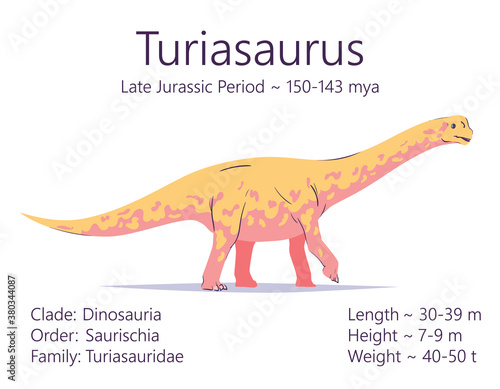 Turiasaurus. Sauropodomorpha dinosaur. Colorful vector illustration of prehistoric creature turiasaurus and description of characteristics and period of life isolated on white background. Fossil dino. photo