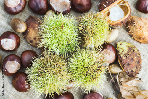 Chestnuts and acorn nuts on a table. Autumn setting. Forest colours. High quality photo