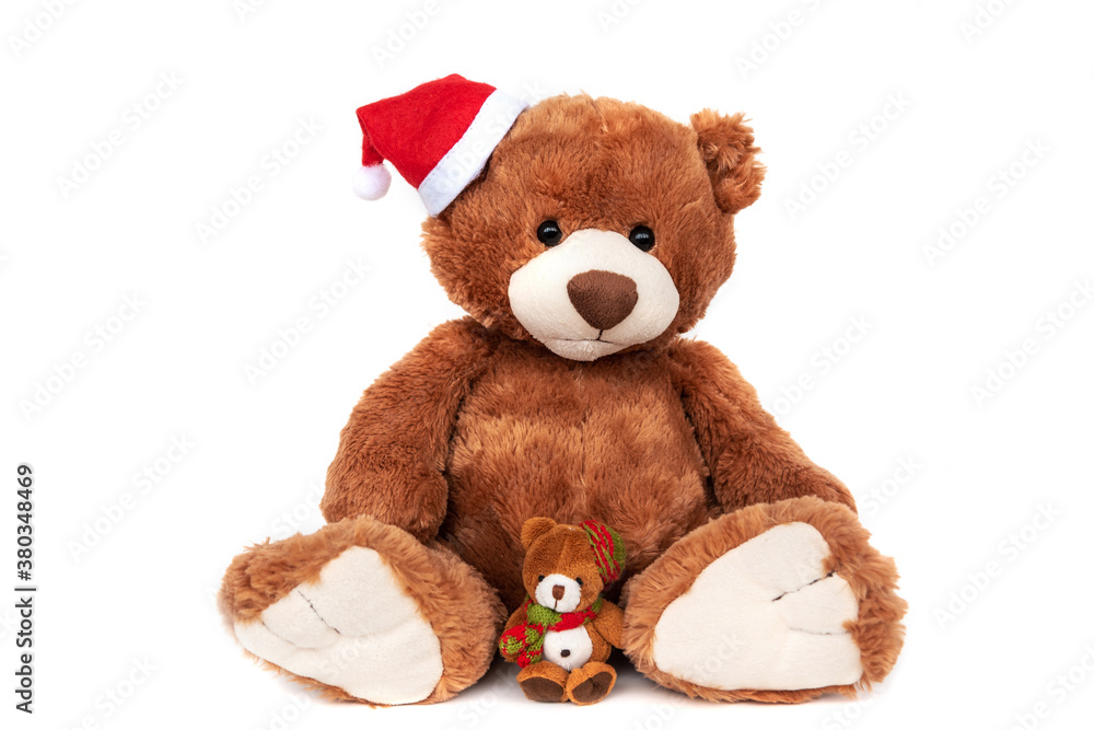 Cute brown teddy Santa bear in Christmas hat with tiny bear sitting on white background. New year postcard