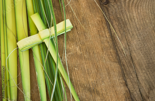 Palm leaves for palm sunday photo