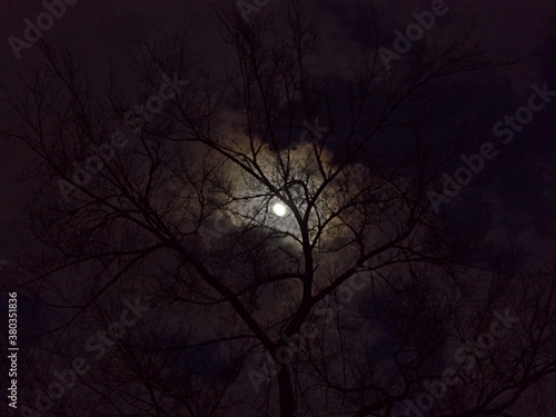 Moon Clouds Tree Dark