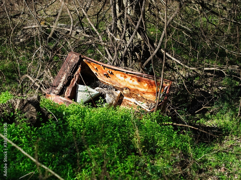 Old Rusted Refrigerator a Flooded Woods Old Rusted Refrigerator a Flooded Woods