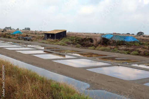 Marais salants du Barrot nord près de Loix sur l'île de Ré photo