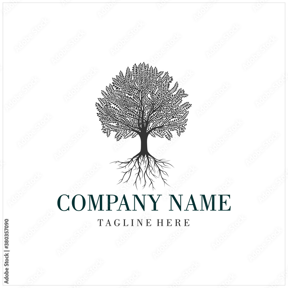 Beauty Family Tree of Life Oak Banyan Maple Logo Design Vector Stock ...