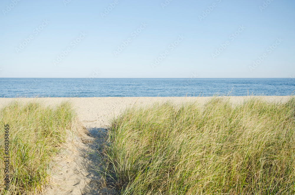 Path leading to beach Path leading to beach