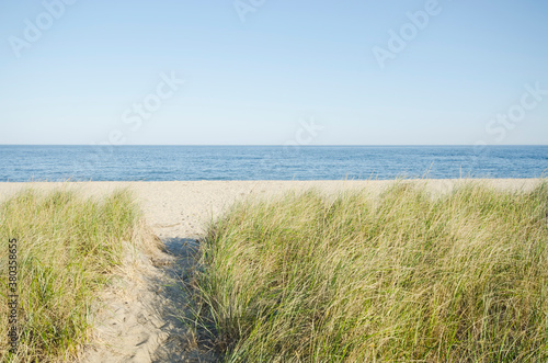 Path leading to beach photo