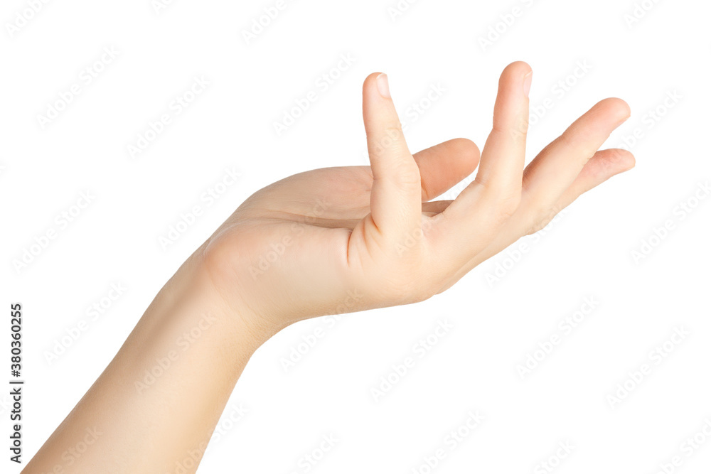 Beautiful female hand isolated on white background. Beautiful female hand isolated on white background.