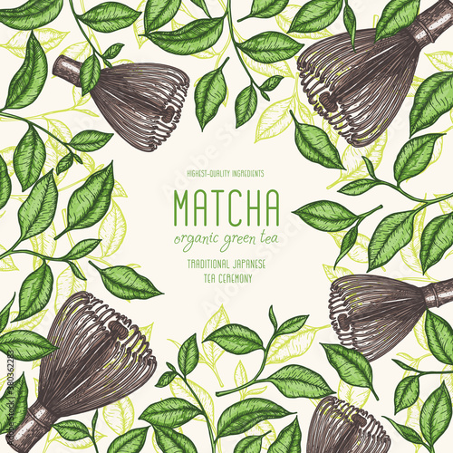 Matcha tea vector illustration. Hand drawn design template. Poster with tea leaf and matcha whisk. Japanese food. Engraved style.