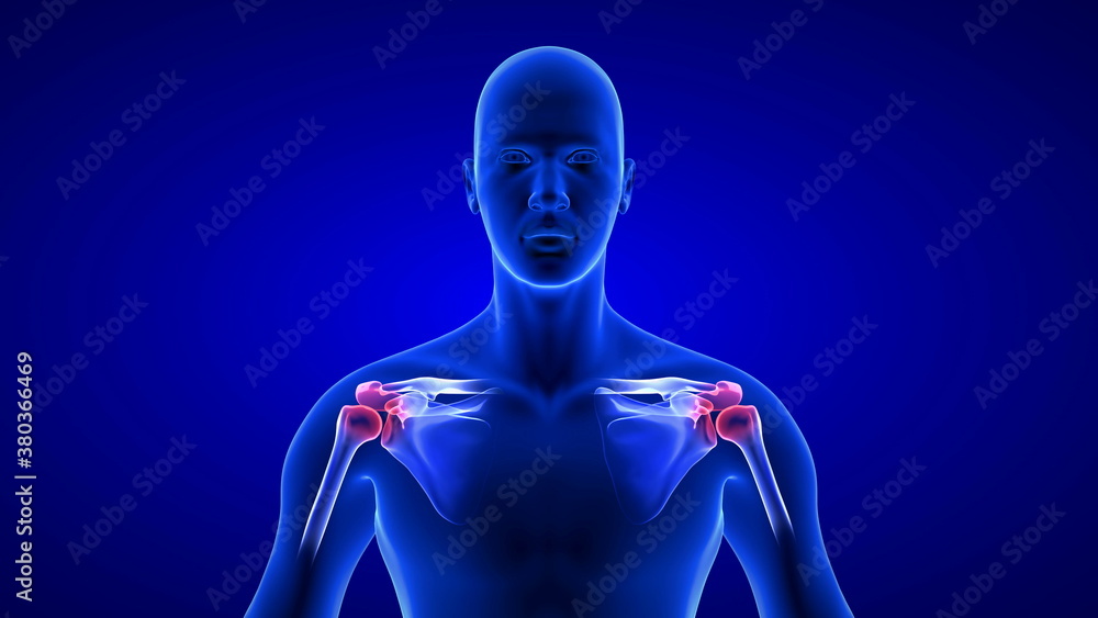 © m3ron - Shoulders Pain close-up illustration - front view. Blue Human Anatomy Body 3D Scan render on blue background