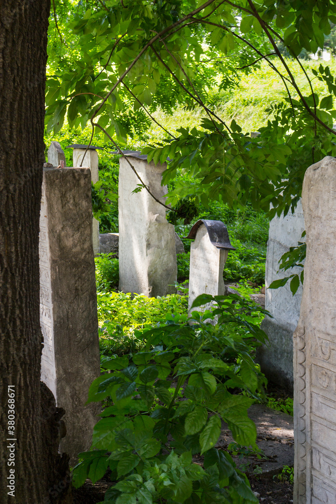 Naklejka premium Jewish cemetery, Krakow