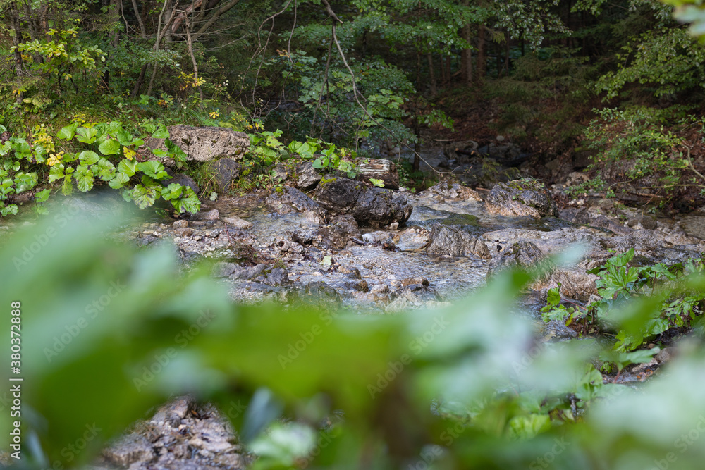 Obraz premium Nature