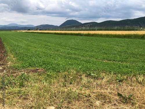 Pictures of Nature, Sky, Buildings, Dubai, France, Boats and many more