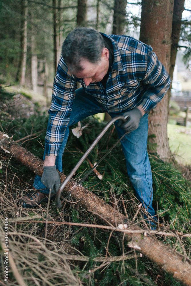 Lumberjack at work Lumberjack at work