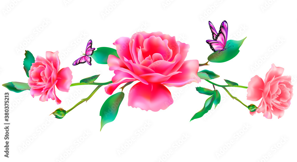 Fototapeta premium butterfly725