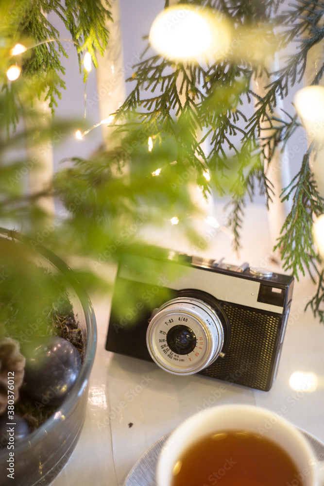 retro analog photo camera in Christmas scenery.