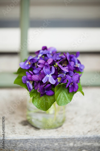 Wild violets bouquet in glass pot on windowsill photo