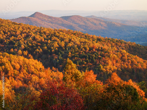 Vibrant fall foliage on Skyline Drive in Shenandoah National Park, Virginia, USA