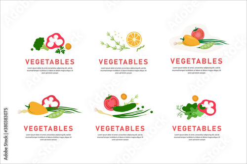 collection of vegetables. Vector vegetable composition for banner, menu, organic and natural food stores, packaging. Pepper, peas, tomato and green onion for salad isolated white background. 