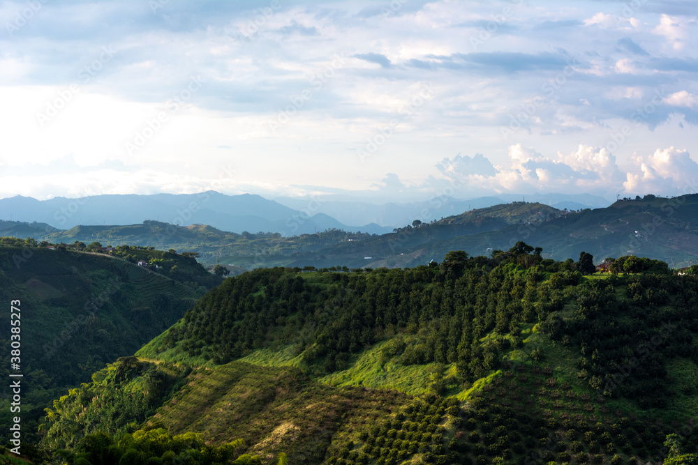 Colombian Coffee mountains 