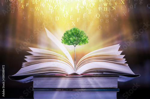 Education concept with tree of knowledge planting on opening big book and blurred bookshelf background in library. education background. back to school concept.