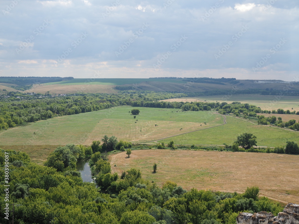 Steppe landscape. Lonely green plants .The steppe is woodless. Ravine in the steppe. Aerial photo