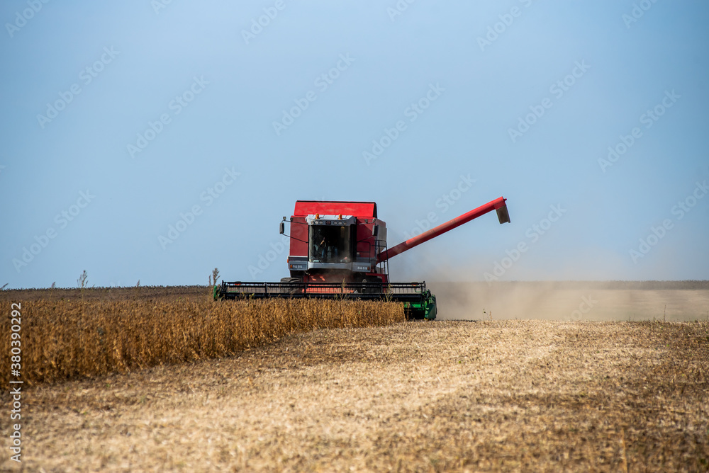 Obraz premium The combine harvesters ripe corn in the field