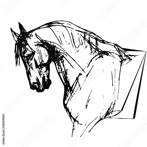 horse head, portrait, sketch, vector graphics monochrome fine pen drawing on colored background	
