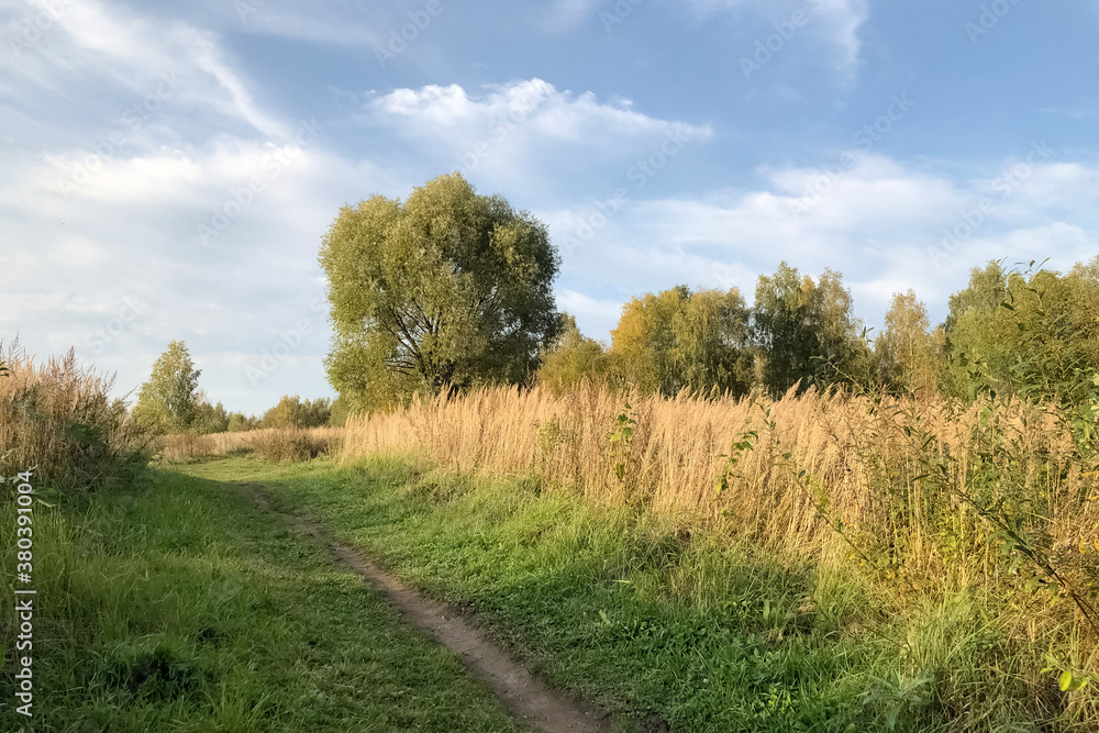 Autumnal rural landscape with ground path through the green hill covered with tall dry grass