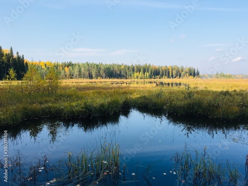 autumn landscape with lake and trees