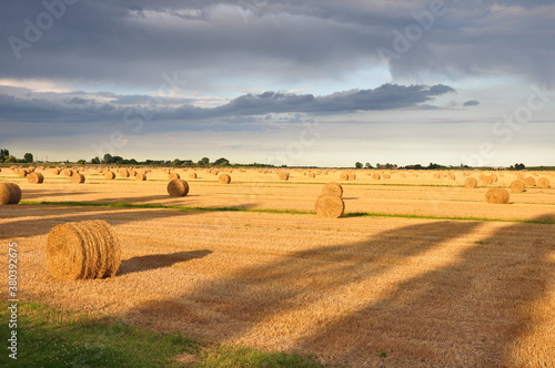 round bales in field at sunset
