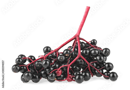 Black elderberries on red twig isolated on a white background. Walewort berries. Selective focus.